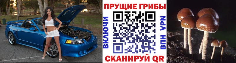 Галлюциногенные грибы Magic Shrooms  Кондрово 